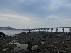 -黑石礁公园