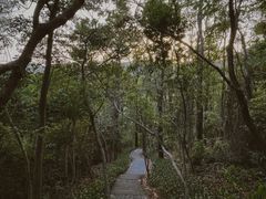 -梧桐山风景名胜区