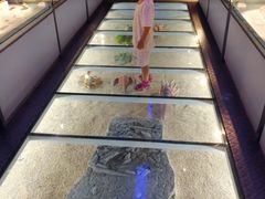 -中国地质大学逸夫博物馆