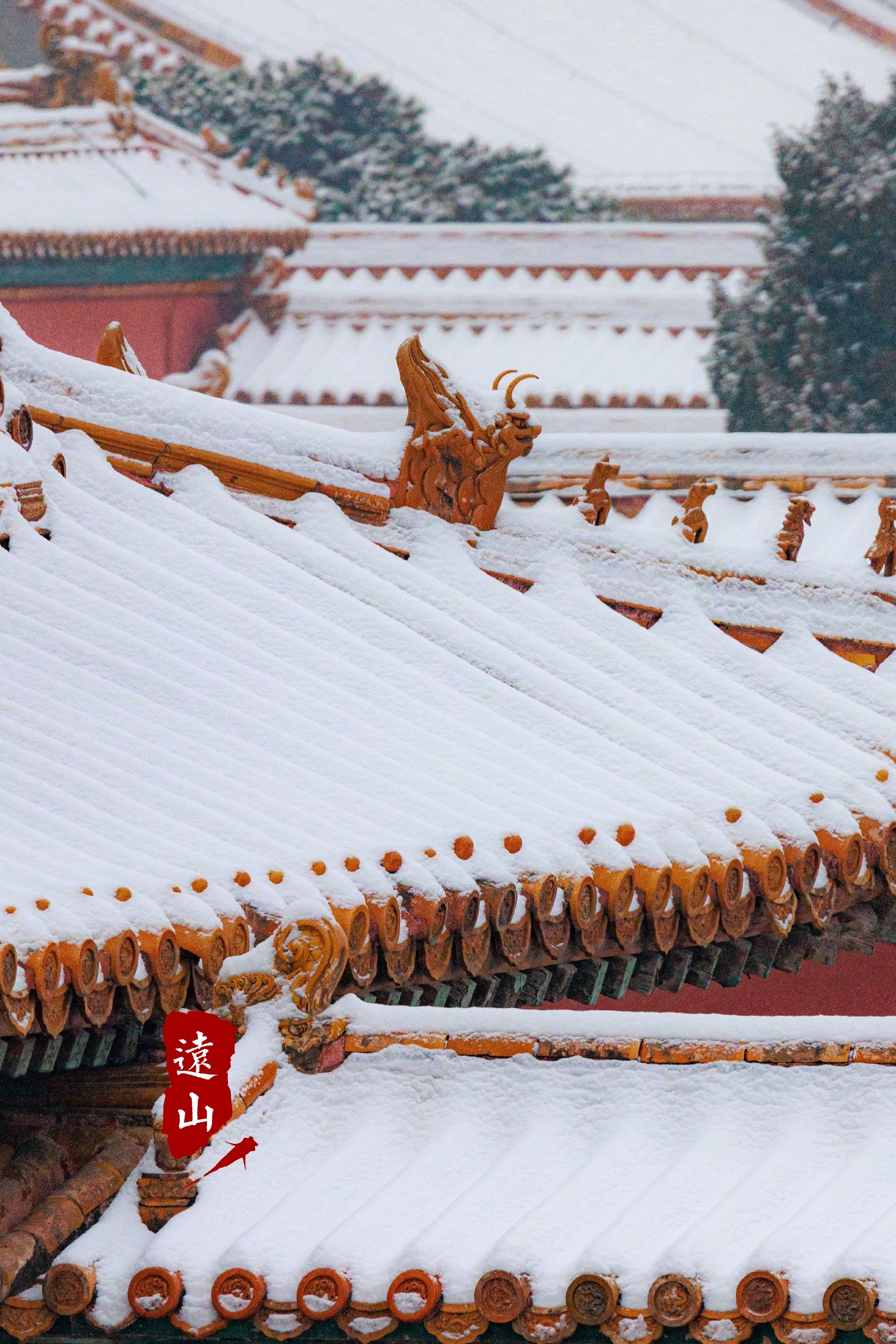 故宫摄影雪景图片