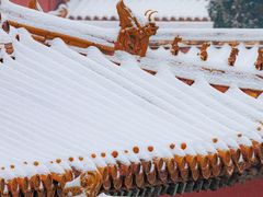 -故宫博物院(故宫)