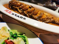 -阿五黄河大鲤鱼(英协路店)