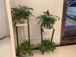 -香秀空间科技抗衰·美容中心