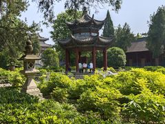 -洛阳白马寺