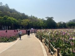 -顺峰山公园