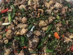 -铁山坪森林公园