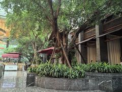 -廊桥咖啡厅·海鲜自助餐厅(成都世纪城天堂洲际大饭店)