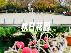 -昆山城市生态森林公园