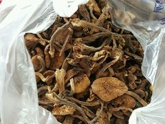 -沈阳国际会展中心管理有限公司