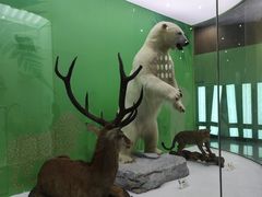 -国家自然博物馆