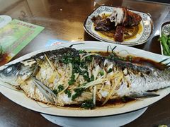 -聂记粤菜馆(鼓西路店)