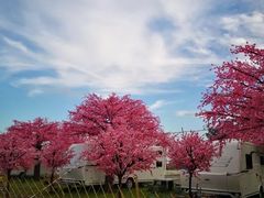 -玫瑰海岸文化旅游度假区