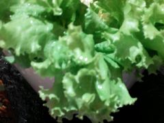 android_upload_pic-陈府大宅门成都火锅·手切鲜肉(太原街店)