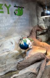 -Zoolung Zoolung动物主题公园(海信广场店)