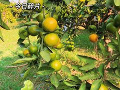 -张公山寨景区