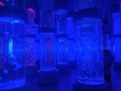 -石林冰雪海洋世界