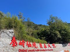 -秦岭天竺山景区