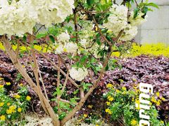 -大龙山(地铁站)