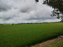 -嘉北郊野公园