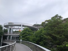 -仙岳公园