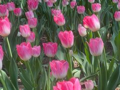 -长春公园(普阳街道)