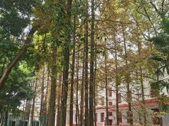 -四川大学(望江校区)