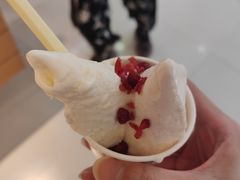 -陕拾叁-西安糕点(大雁塔店)