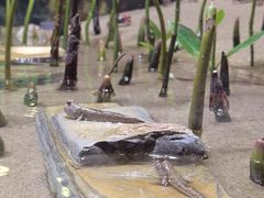 -欢乐海岸海洋奇梦馆