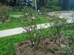 -人民公园(罗湖区)