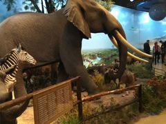 -陕西自然博物馆