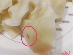 -添福来墨鱼饺子 · 海鲜东北菜(大连星海·黄浦路店)