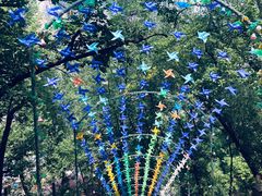 -沕沕水生态风景区