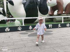 -西安秦岭野生动物园