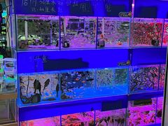 -三旗百汇商品城