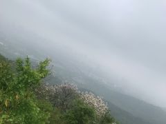 -白马涧龙池景区