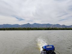 -哈素海