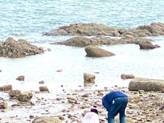 -兴城海滨风景区