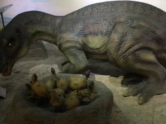 -国家自然博物馆