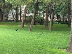 -迎泽公园