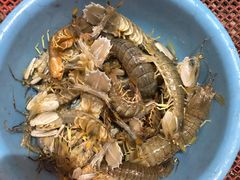 -四海鲜渔家菜(黄金海岸店)