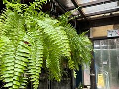 -野蔓果·山野菜(西湖景区·龙井茶田店)