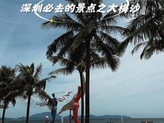 -大梅沙海滨公园