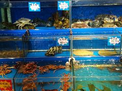 水产区-黄寺蒸汽海鲜(黄寺大街店)