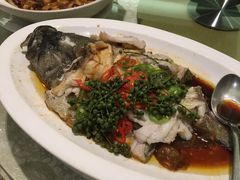 藤椒东星斑-绿岛国际酒店·海鲜酒楼(八七路店)