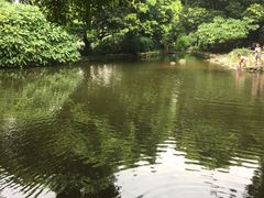 -成都市活水公园