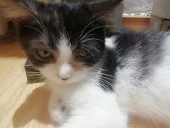 -万小咖.猫咖(中山路天虹店)