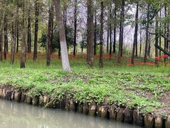 -狼山风景名胜区