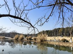 -昆山城市生态森林公园