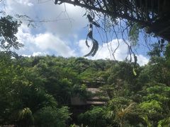 -海南槟榔谷黎苗文化旅游区