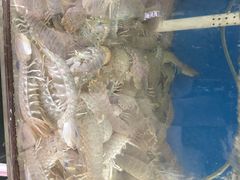 胖大嫂渔家排档-胖大嫂渔家排档(半边山店)